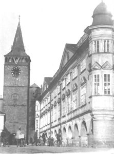 Bledule jarní