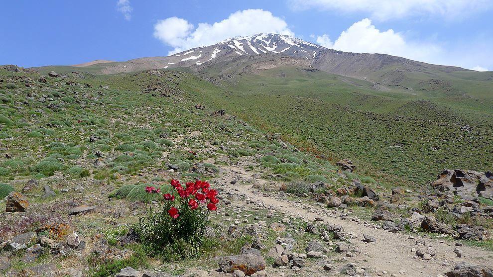 iran